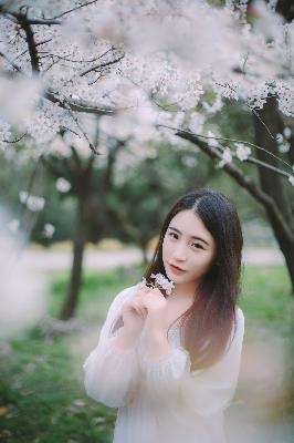 惊爆！《杂伦大乱烩H高小说》究竟藏着什么秘密？数字谜团等你来解！